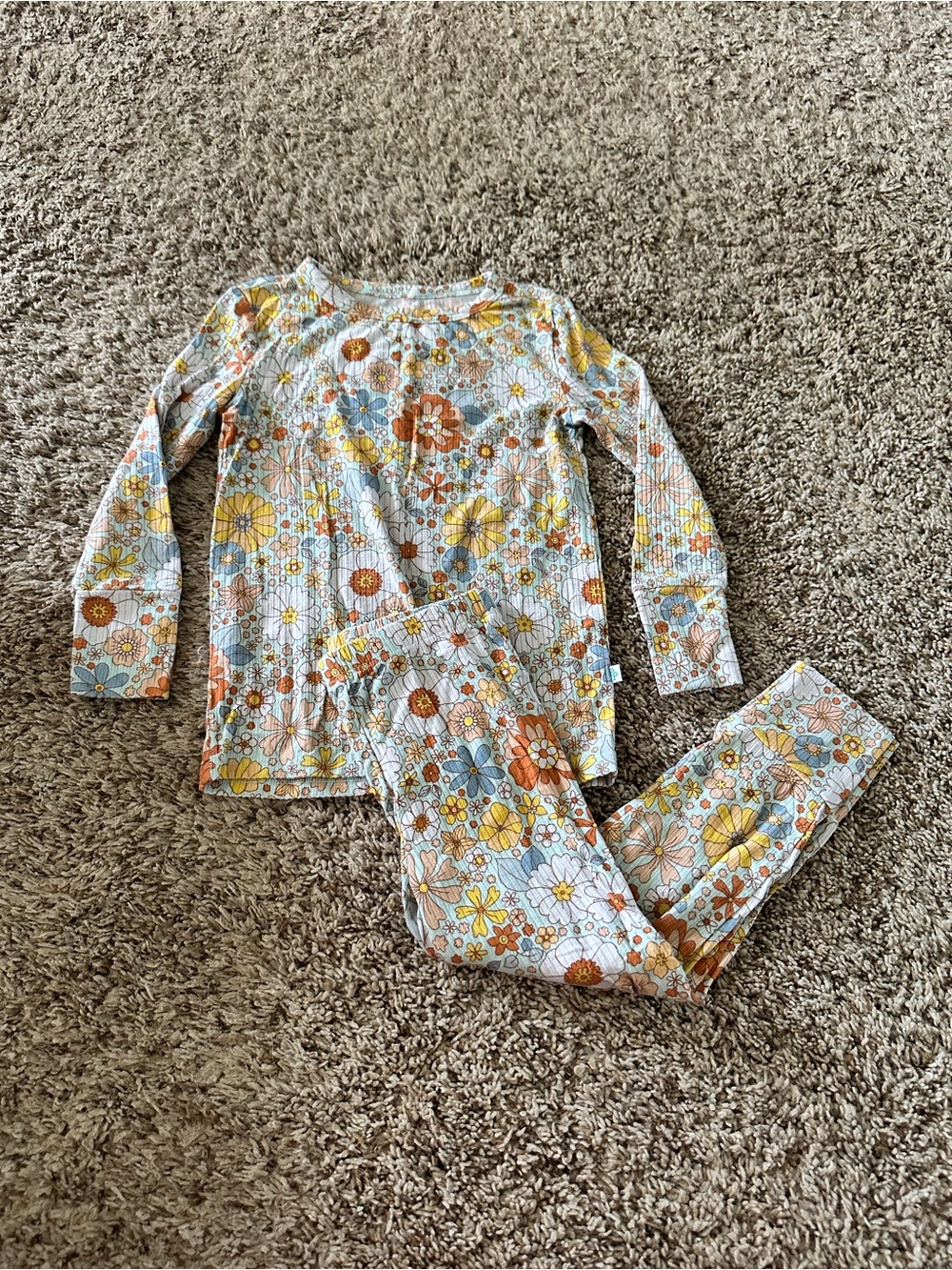 Posh Peanut Floral Long-Sleeve Pajama Set